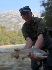 Marble trout from Soca river